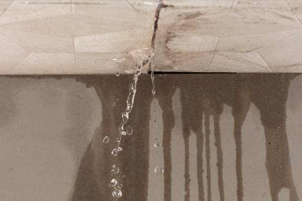 Professional Burst Pipe Cleanup technician working in Ogema, MN